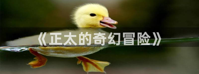 2020里番动漫：《正太的奇幻冒险》
