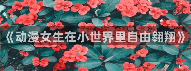 免费里番漫画：《动漫女生在小世界里自由翱翔》