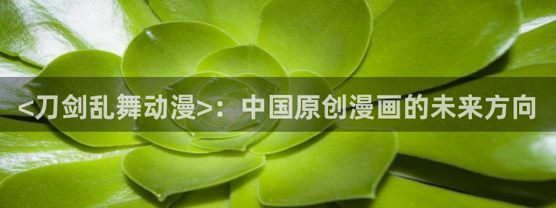 里番动漫在线免费观看：<刀剑乱舞动漫>：中国原创漫画的未来方向