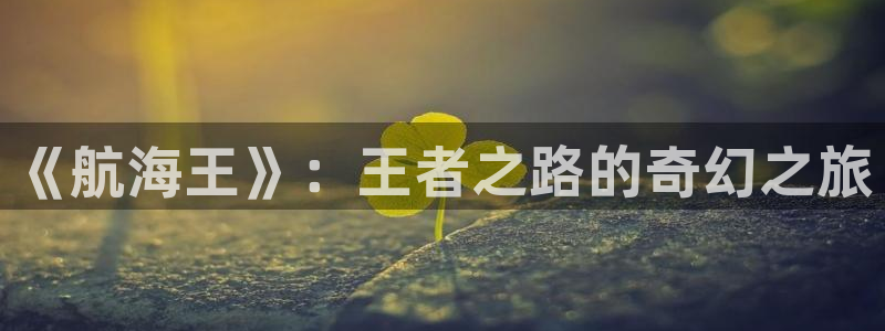 动漫里番推荐：《航海王》：王者之路的奇幻之旅