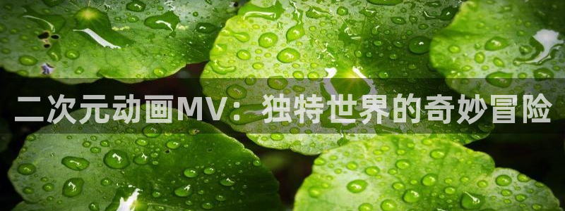 有什么好看的动漫里番：二次元动画MV：独特世界的奇妙冒险