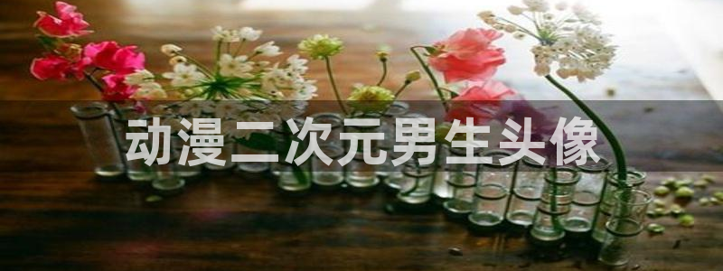 里番推荐：动漫二次元男生头像