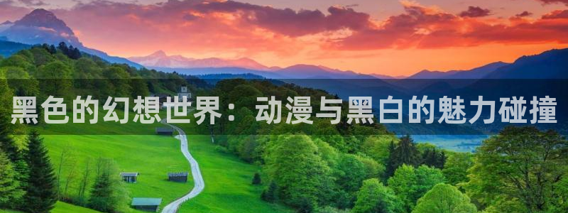 绅士漫画里番漫画：黑色的幻想世界：动漫与黑白的魅力碰撞