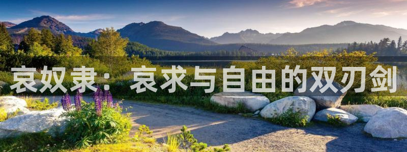 里番动画吧：哀奴隶：哀求与自由的双刃剑