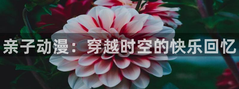 3d里番动漫网：亲子动漫：穿越时空的快乐回忆