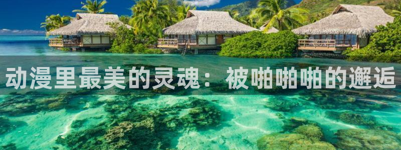 h动漫里番：动漫里最美的灵魂：被啪啪啪的邂逅