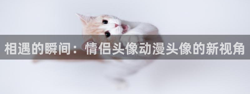 里番好看的动漫：相遇的瞬间：情侣头像动漫头像的新视角