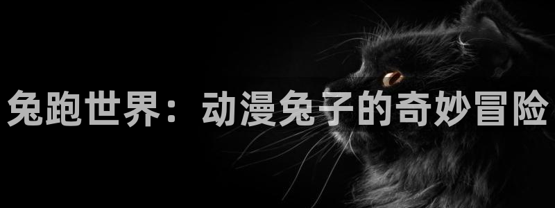 旧里番成人动漫：兔跑世界：动漫兔子的奇妙冒险