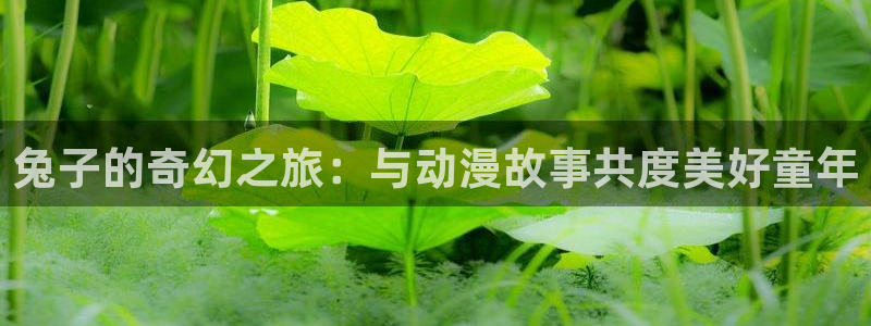 工口动漫里番：兔子的奇幻之旅：与动漫故事共度美好童年