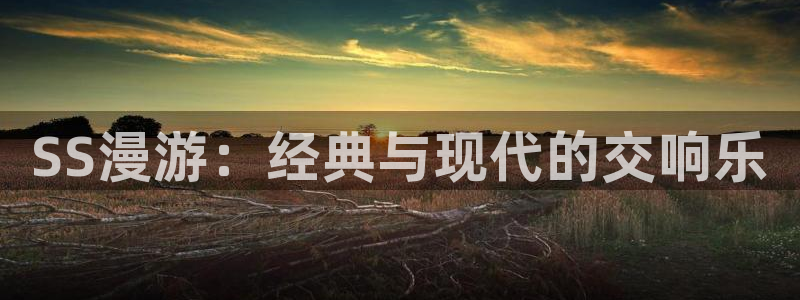 天天动漫里番：SS漫游：经典与现代的交响乐