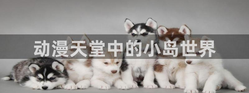 里番大全：动漫天堂中的小岛世界