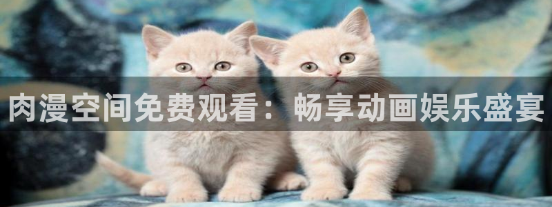 经典动漫里番：肉漫空间免费观看：畅享动画娱乐盛宴