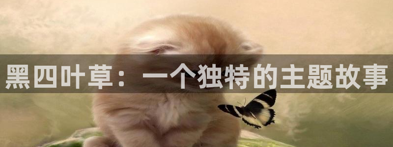 动漫肉里番：黑四叶草：一个独特的主题故事